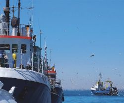 marine buoy, navigation buoys